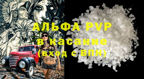 СК Абинск